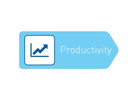 Productivity